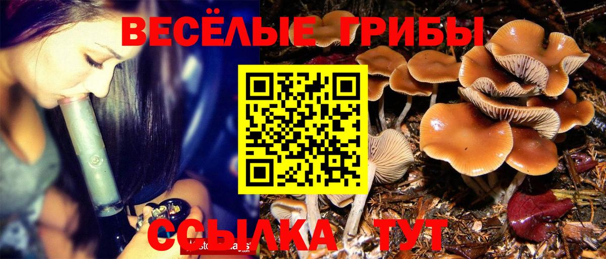 Галлюциногенные грибы ЛСД Конаково