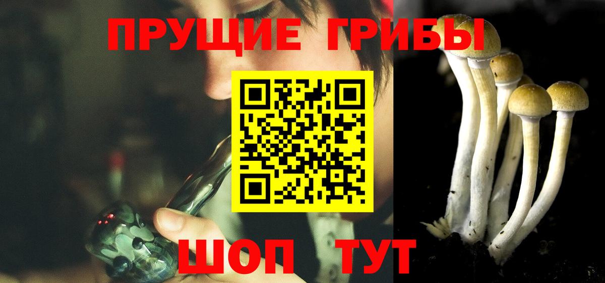где купить   Вход с VPN  Конаково  Галлюциногенные грибы Psilocybine cubensis 
